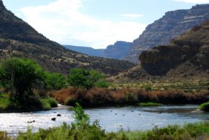 Mountains and a stream on Colorado's western slope